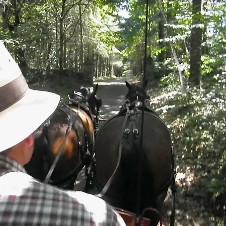 Les Du Manoir De Kerhel Nocleg ze śniadaniem *