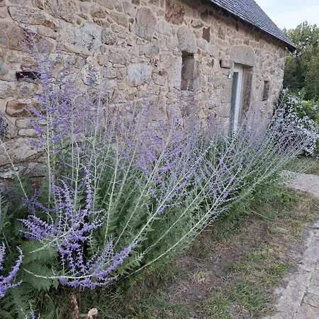 ベッド・アンド・ブレックファスト Les Du Manoir De Kerhel *